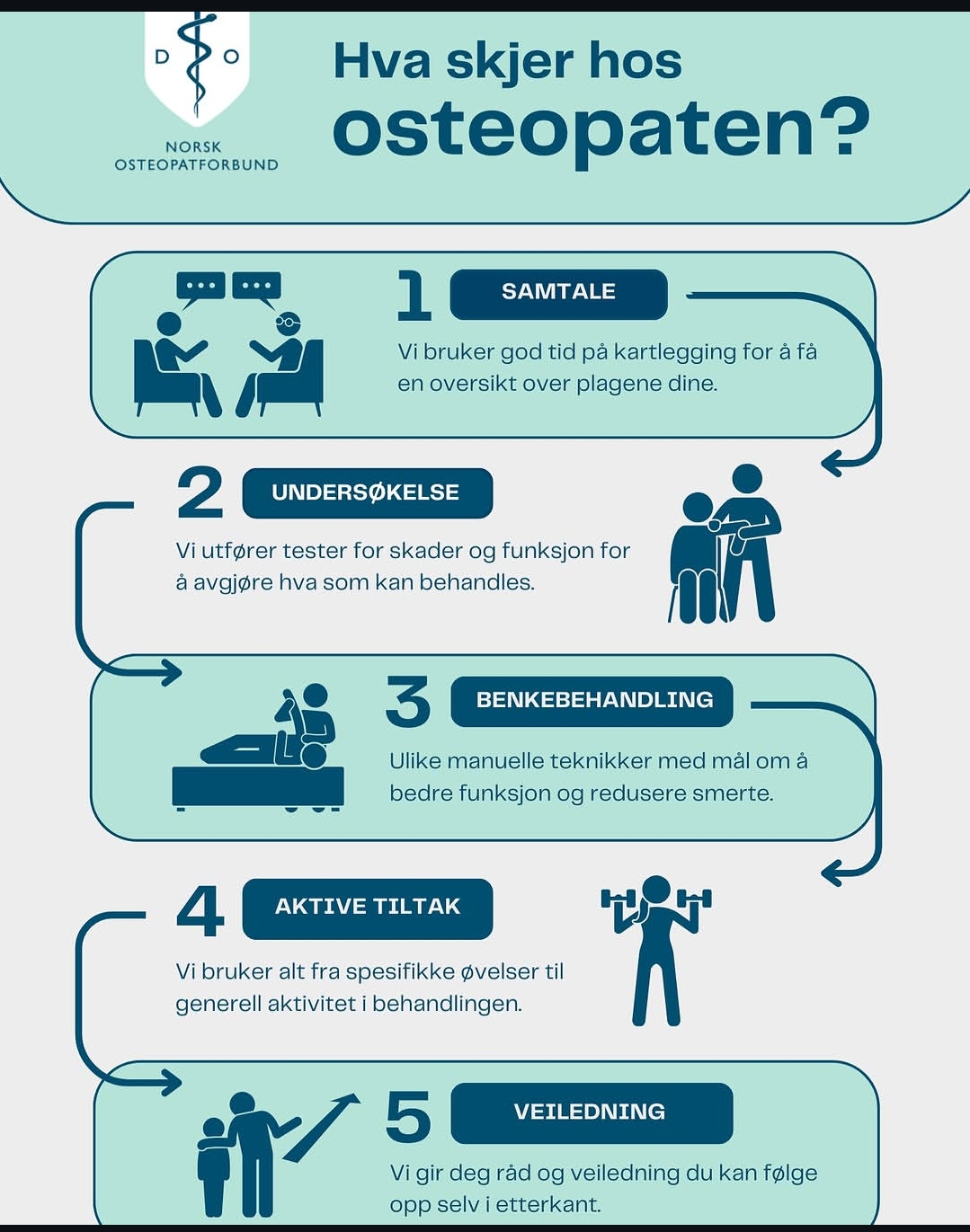 Illustrasjon fra Norsk Osteopatforbund som viser fem deler av en osteopatisk konsultasjon